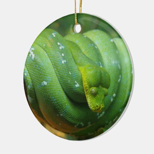 Green Tree Python Snake Keramisch Ornament (Links)