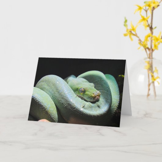 Green Tree Python - Snake Wenskaart Kaart (Gele Bloem)