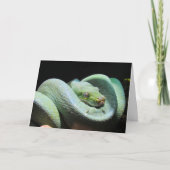 Green Tree Python - Snake Wenskaart Kaart (Voorkant)