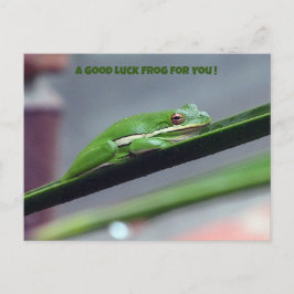 Green Treefrog Good Luck Briefkaart