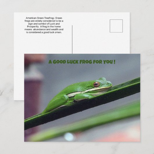 Green Treefrog Good Luck Briefkaart (Voorkant / Achterkant)