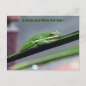 Green Treefrog Good Luck Briefkaart (Voorkant)