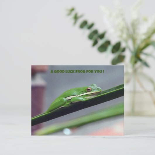 Green Treefrog Good Luck Briefkaart (Staand voorkant)