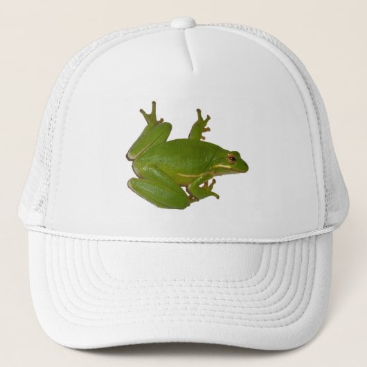 Green Treefrog Pet (Voorkant)
