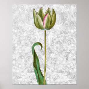 Green Tulip Bud  Retro Art Poster