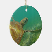 Green-turtle-Great-Barrier-Reef.JPG Keramisch Ornament (Rechts)