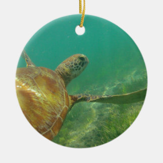 Green-turtle-Great-Barrier-Reef.JPG Keramisch Ornament