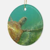 Green-turtle-Great-Barrier-Reef.JPG Keramisch Ornament (Links)