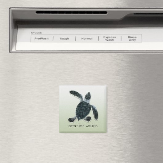 Green Turtle Hatchling Magnet (Insitu (Vaatwasser))