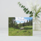 Green Valley Bijbel Verse-bemoedigingskaart Kaart (Staand voorkant)