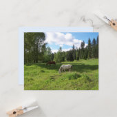 Green Valley Bijbel Verse-bemoedigingskaart Kaart (Voorkant / Achterkant in situ)