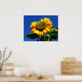 Green Velvet Sunflower Poster (Keuken)