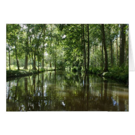 Green Venice Coulon Frankrijk