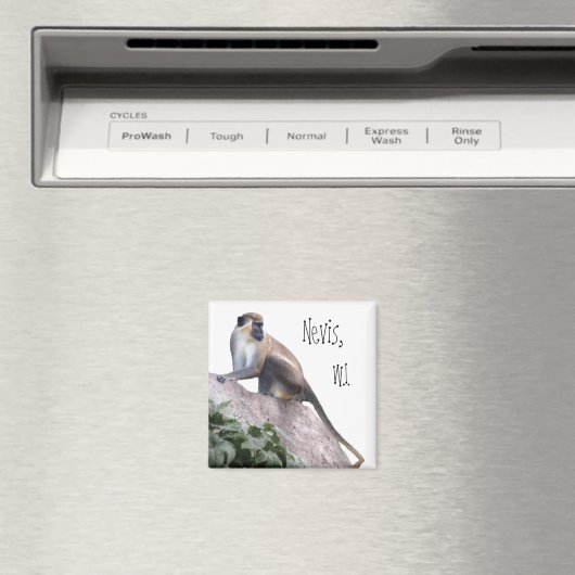 Green Vervet Monkey Magneet (Insitu (Vaatwasser))