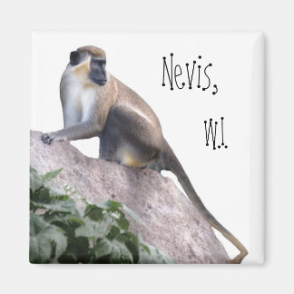 Green Vervet Monkey Magneet