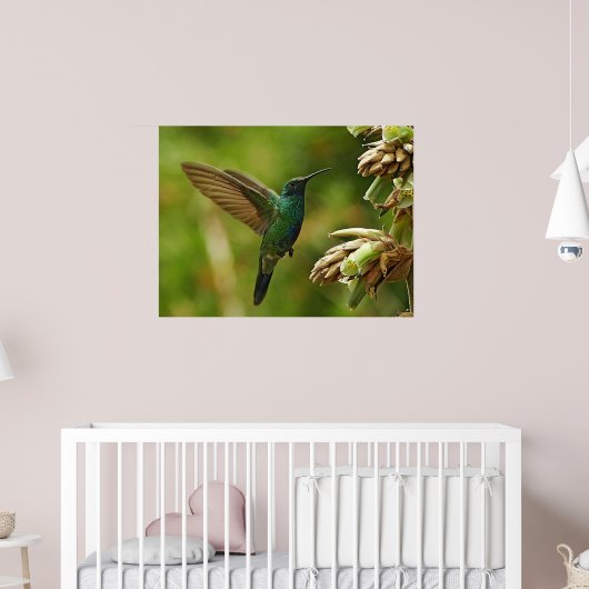 Green Violet-ears Hummingbird Framed Print (Kinderkamer 2)