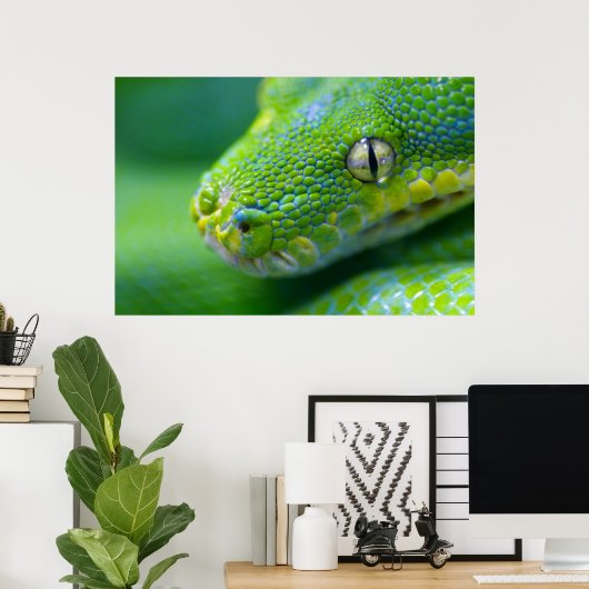 Green Viper Poster (Thuiskantoor)