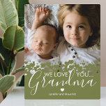 Green We houden van je oma foto Fotoplaat<br><div class="desc">Persoonlijke fotoplaque van oma met een kostbare familiefoto,  een botanisch groen ontwerp van de hartgrens,  het gezegde "wij houden van je oma" en de namen van de kinderen.</div>