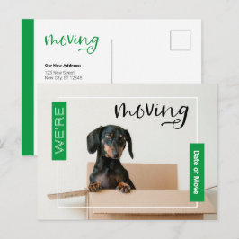 Green We verplaatsen Dachshund Dog in Box Briefkaa Briefkaart