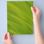 Green Wheat Field Bulk Scrapbook Paper Pages Flyer (Hand)