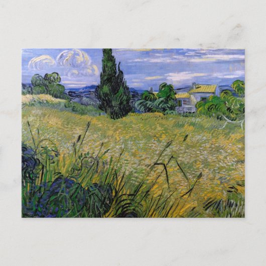 Green Wheat Field met Cypress van Van Gogh. Briefkaart (Voorkant)