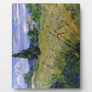 Green Wheat Field met Cypress van Van Gogh. Fotoplaat
