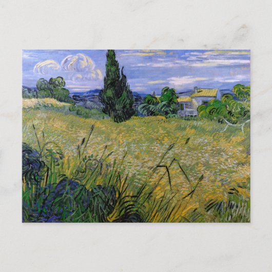 Green Wheat Field met Cypress van Vincent van Gogh Briefkaart (Voorkant)