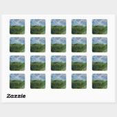 Green Wheat Fields van Vincent van Gogh Vierkante Sticker (Vel)