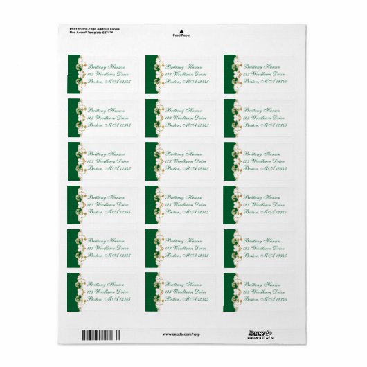 Green White Gold Scroll Return Address Label (Full Sheet)