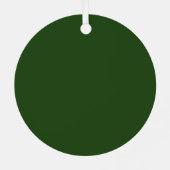 Green White Natal Holiday Energy Custom Photo Metalen Ornament (Achterkant)