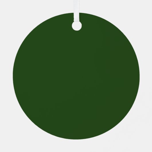 Green White Natal Holiday Energy Custom Photo Metalen Ornament (Achterkant)