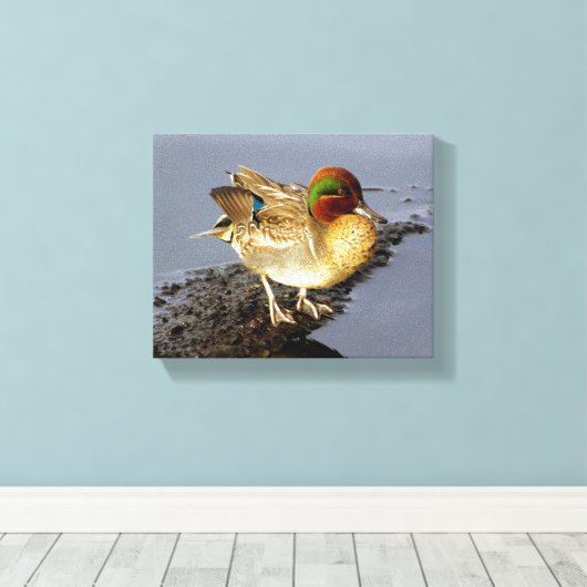 Green Wing Blauwgroen Duck Wrapped Canvas Art Afdruk (Insitu (Houten vloer))