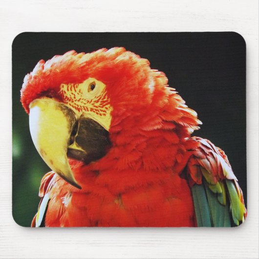 Green Winged Macaw Parrot Bird Close Muismat (Voorkant)