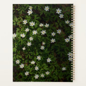 Green Woodland Dreams Planner (Achterkant)