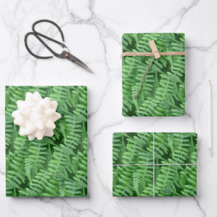 Green Woodland Ferns Pattern Natuur Inpakpapier Vel