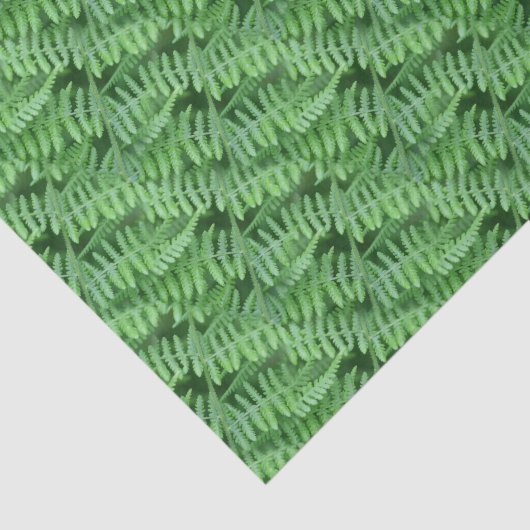 Green Woodland Ferns Pattern Natuur Tissuepapier (Detail)