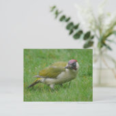 Green Woodpecker Briefkaart (Staand voorkant)