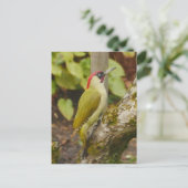 Green Woodpecker Briefkaart  (Staand voorkant)