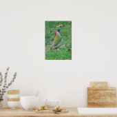 Green Woodpecker Poster (Keuken)