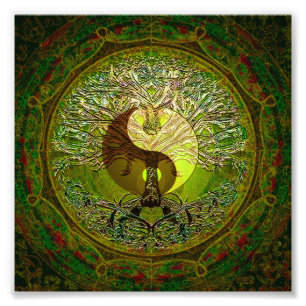 Green Yin Yang met boom of Life Foto Afdruk