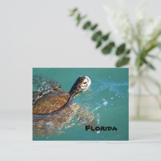 Green Zee Turtle, Florida Briefkaart (Staand voorkant)