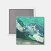 Green Zee Turtle Magnet (Voorkant / Achterkant)
