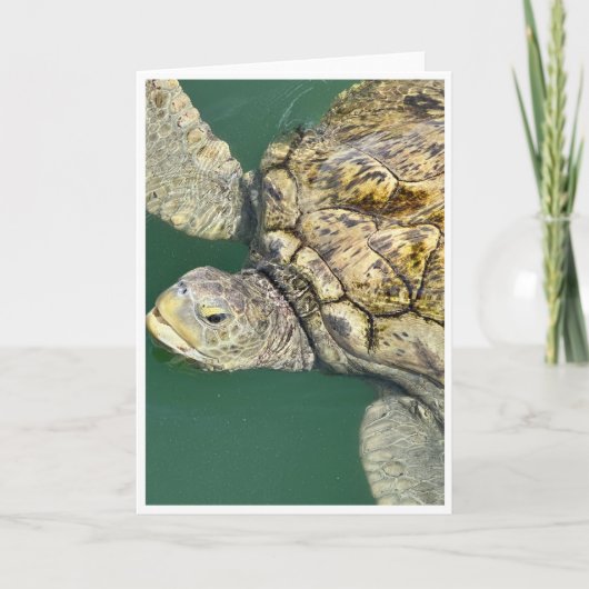 Green Zee Turtle Note Kaart<Blank Card> Bedankkaart (Voorkant)