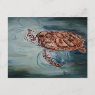 Green Zee Turtle Post Card Briefkaart
