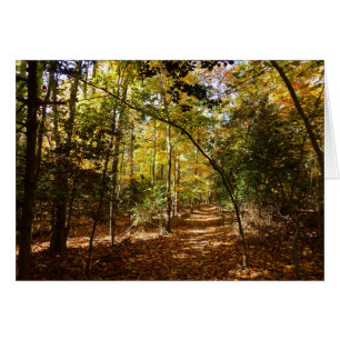 Greenbelt Park in de herfst I Maryland Landschap