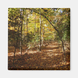 Greenbelt Park in de herfst I Maryland Landschap Magneet