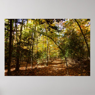 Greenbelt Park in de herfst I Maryland Landschap Poster