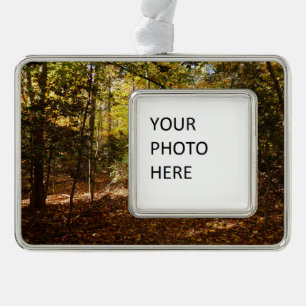 Greenbelt Park in de herfst I Maryland Landschap Verzilverd Omlijst Ornament
