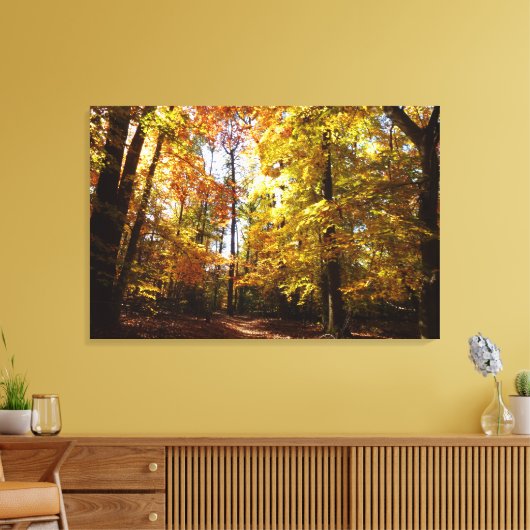 Greenbelt Park in de Herfst II Maryland Natuur Sce Canvas Afdruk (Insitu (Woonkamer))