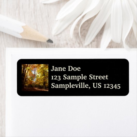 Greenbelt Park in de Herfst II Maryland Natuur Sce Etiket (Insitu)